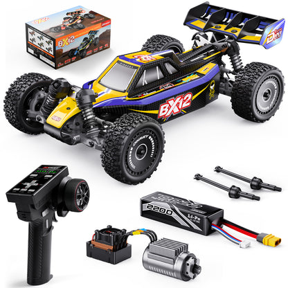 DIKAVEY 1/12 Scale RTR 4WD Metal Brushless RC  Buggy | BX12（Yellow-Purple）
