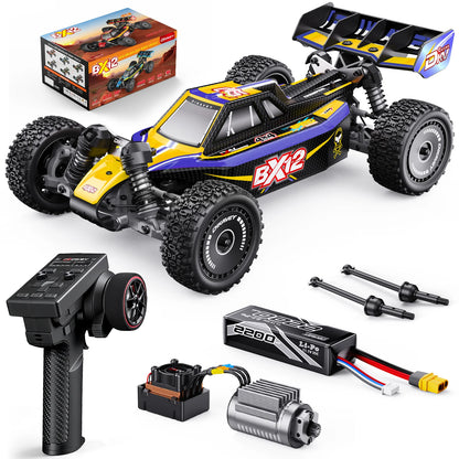 DIKAVEY 1/12 Scale RTR 4WD Metal Brushless RC  Buggy | BX12