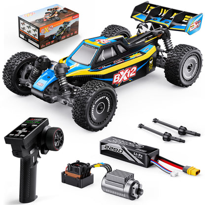 DIKAVEY 1/12 Scale RTR 4WD Metal Brushless RC  Buggy | BX12（Blue-Yellow）
